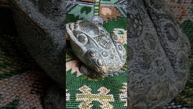 Трёхлапая жаба на удачу смотреть онлайн