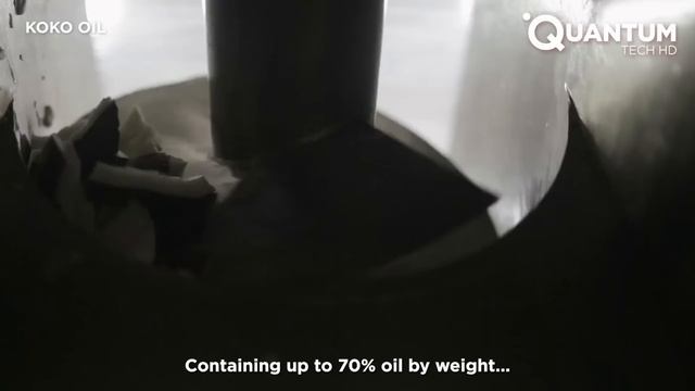 Harvesting the Most Delicious Coconut Oil in the World | Exotic Fruit Plantation смотреть онлайн