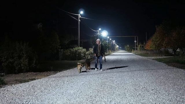 Прогулка вечером с собаками (камера Olympus OM-D E-M5) смотреть онлайн