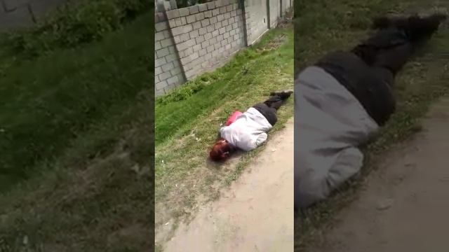 Каронавирус кыра баштады смотреть онлайн