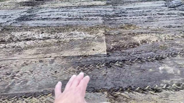 Хранение навоза у коровника