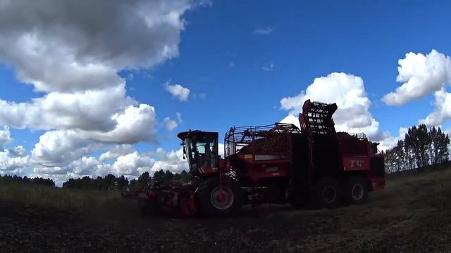 Самоходный свеклоуборочный комбайн HOLMER TERRA DOS T4-40 с бункером на 32 тонны смотреть онлайн