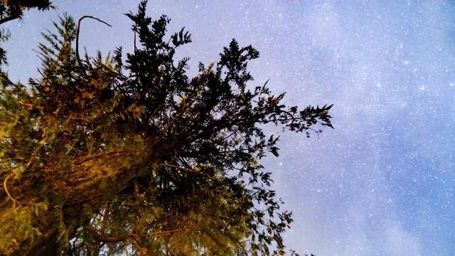 Красиво,жизненно "Ты видел, как падают звезды?"-муз.Сумин Александр,автор стихов неизвестен... смотреть онлайн