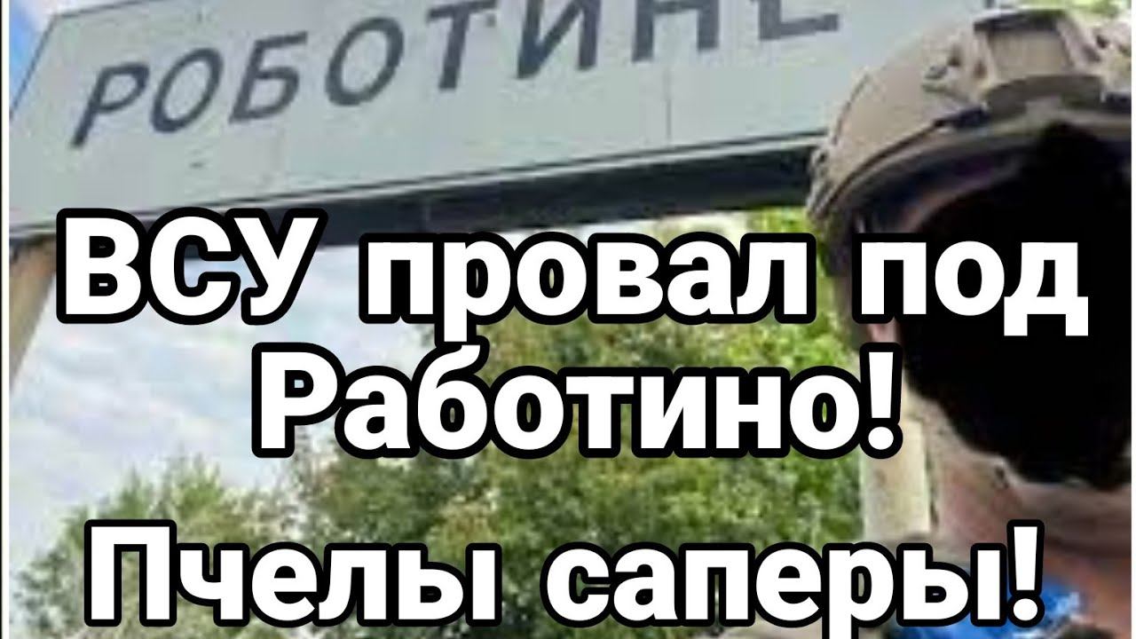 ВСУ ПР0ВАЛ ПОД РАБ0ТИН0! Пчелы-саперы!