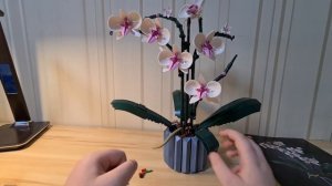 Сборка и обзор лего набора 10311 Orchid. Орхидея