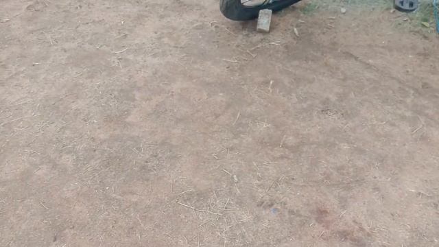 Wall Climbing Frog, Frog Climbing Wall, Wall Climbing Long Jumping Frog, Frog That Can Climb On Wal смотреть онлайн