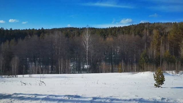 Природа с окна поезда около Инзы смотреть онлайн