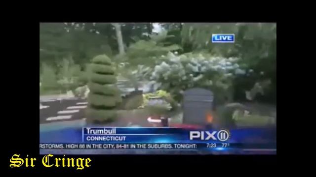 LIVE NEWS CRINGE COMPILATION смотреть онлайн