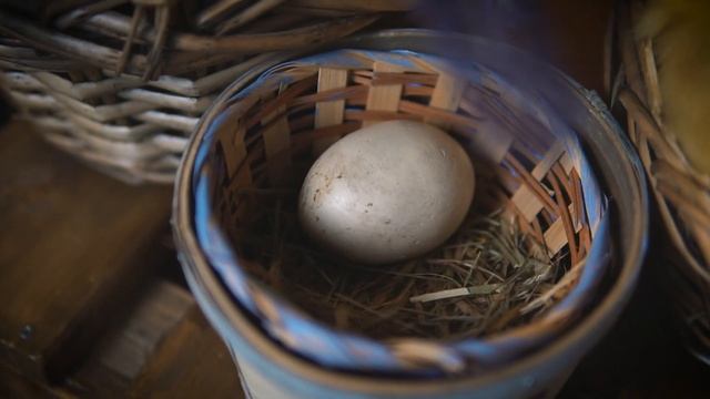 Давайте нарисуем мир! смотреть онлайн