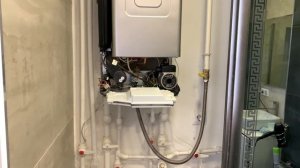 Замена циркуляционного насоса газового котла  Ремонт котла  protherm двухконтурный котел 24 кВт