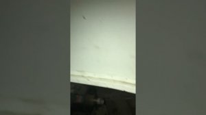 Замена мост сальник Гидромек 103в