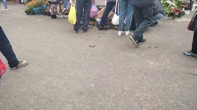 Переезд из Сибири. Поехали на рынок. Посадка кедра. смотреть онлайн