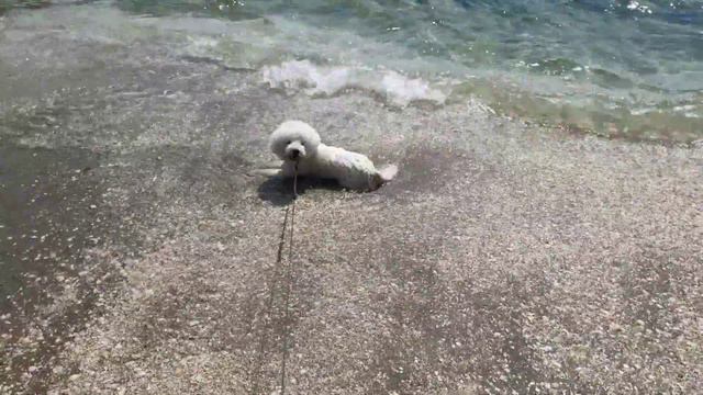 Я ВОДЯНОЙ смотреть онлайн