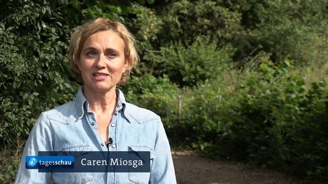 ARD-Politiktalk: Caren Miosga tritt Nachfolge von Anne Will an смотреть онлайн