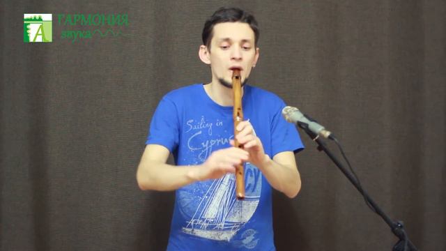 Гармония звука - Лоу-вистл в Ми из тика. Импро смотреть онлайн