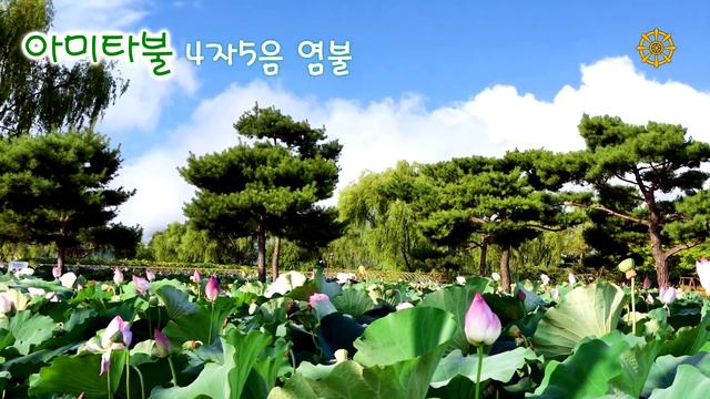 나무아미타불  명상음악 / 