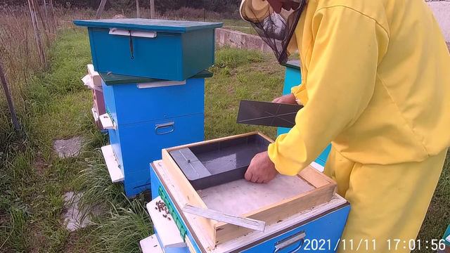 Хороший способ осушки пчёлами откаченных рамок смотреть онлайн