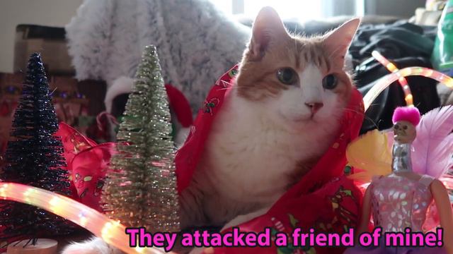 My Cat's Tree Farm смотреть онлайн