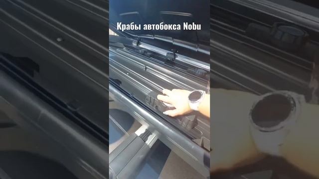 Крабы для автобокса Nobu