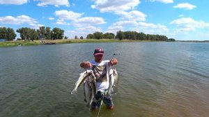 АХТУБА/БОЛХУНЫ 2023 (часть 6) Судак на малька клюёт отлично!!!