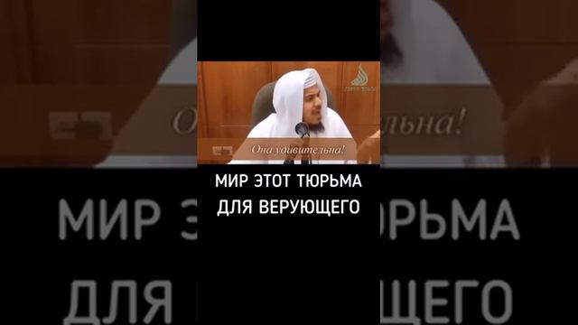 Мир этот тюрьма для верующего !!! смотреть онлайн