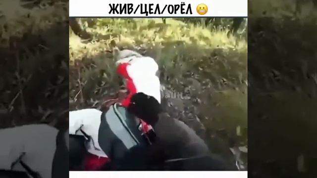 Жив Цел Орел смотреть онлайн