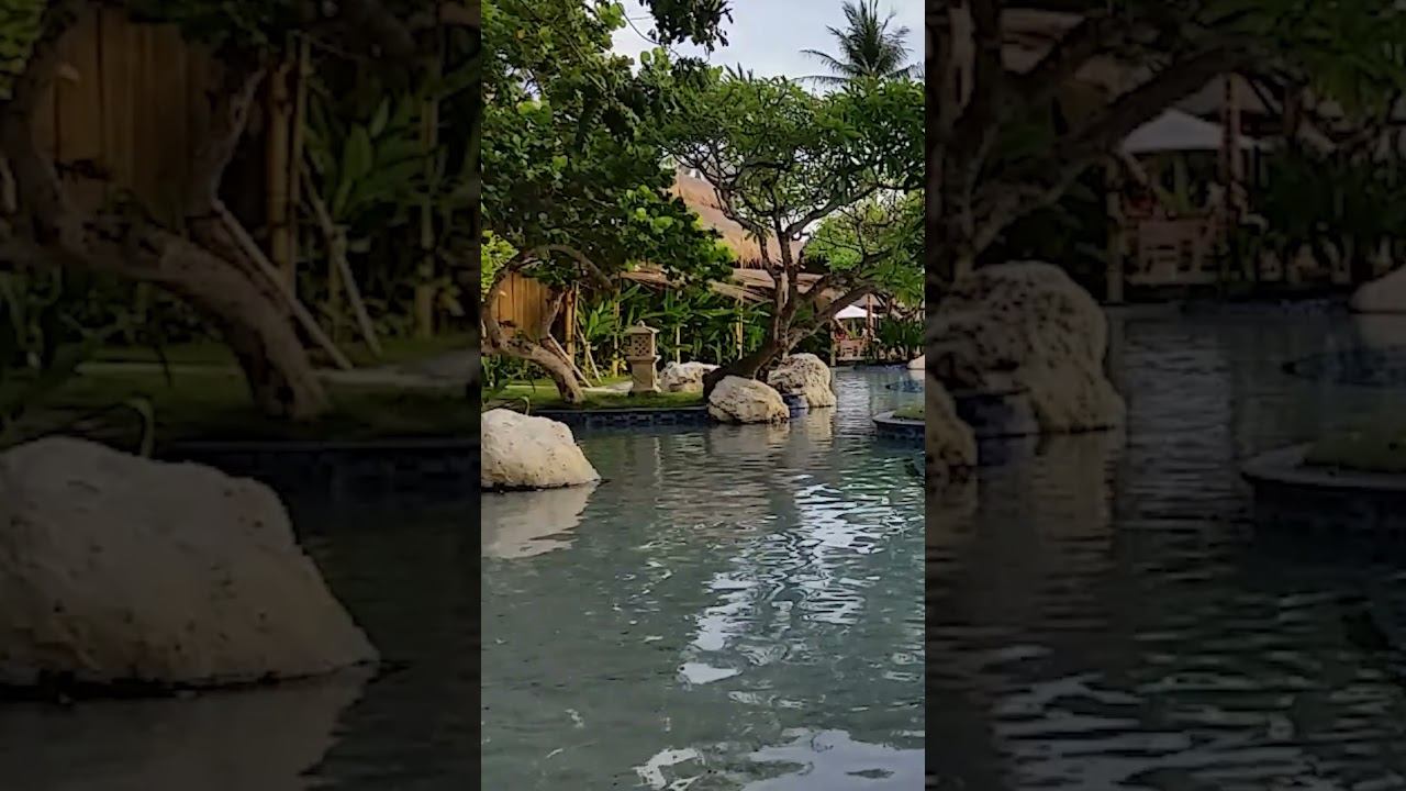 Birdsong in #Bali смотреть онлайн