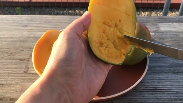 Nam Doc Mai, Keitt, and Tommy Atkins mango [Mangifera indica] смотреть онлайн