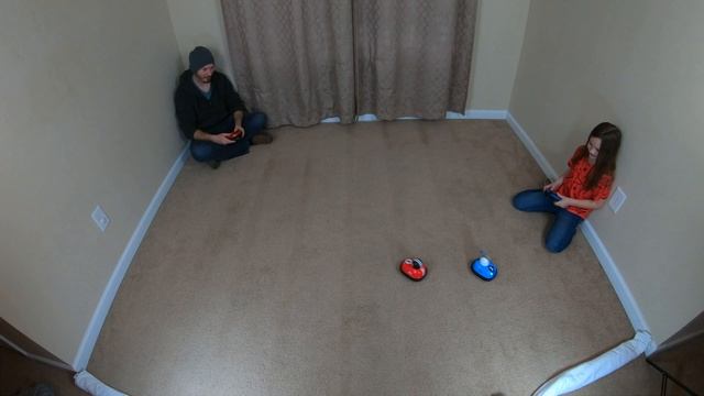 Bumper Cars Battle   Sharper Image RC Speed Bumper Cars