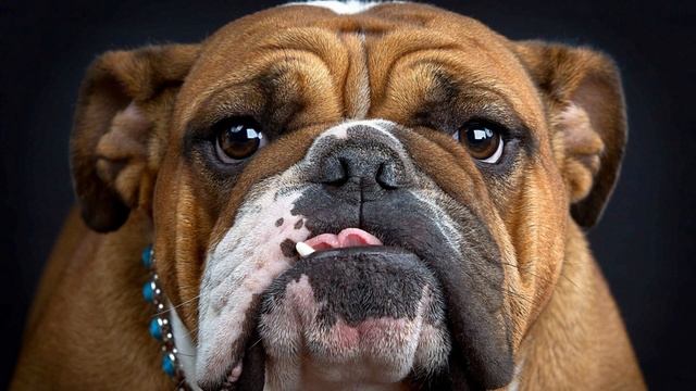 Tony O´connor.  Sunrise