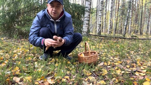 БЕЛЫЕ ГРИБЫ НЕ ОТПУСКАЛИ МЕНЯ ИЗ ЛЕСА! Грибы в октябре 2022 смотреть онлайн