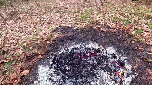 ВКУСНЕЙШАЯ СВИНАЯ РУЛЬКА! Готовим РУЛЬКУ на КОСТРЕ в ФОЛЬГЕ смотреть онлайн