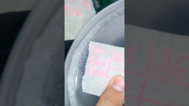 Моя рассада смотреть онлайн