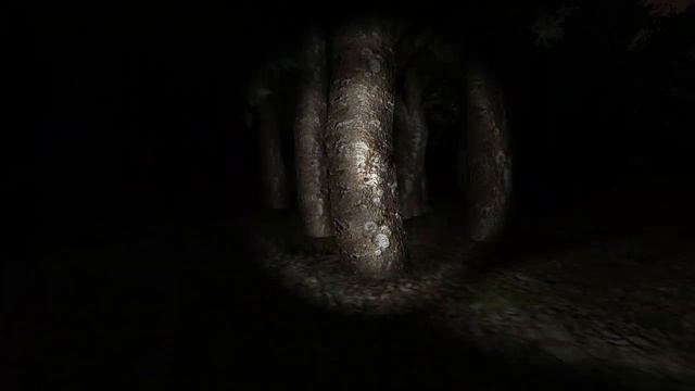 Survivers кооперативный инди-скример (Карн и 7Tiphs) смотреть онлайн