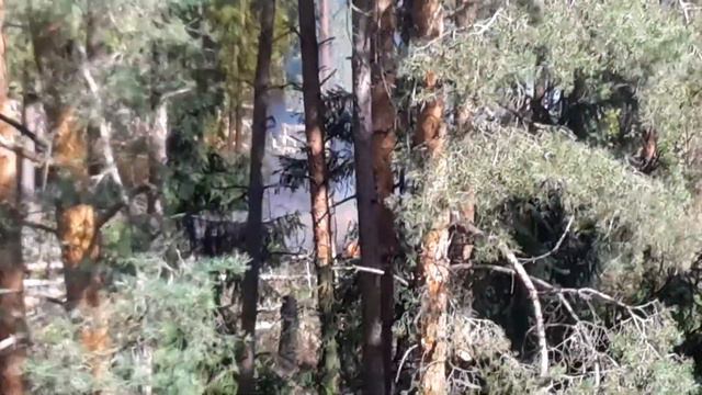 мкр. Заря Горит лес за Лесной 4 (001) смотреть онлайн