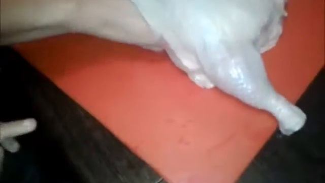 Сеня готовит ароматную курицу с апельсинами) Senya preparing aromatic chicken with oranges) смотреть онлайн