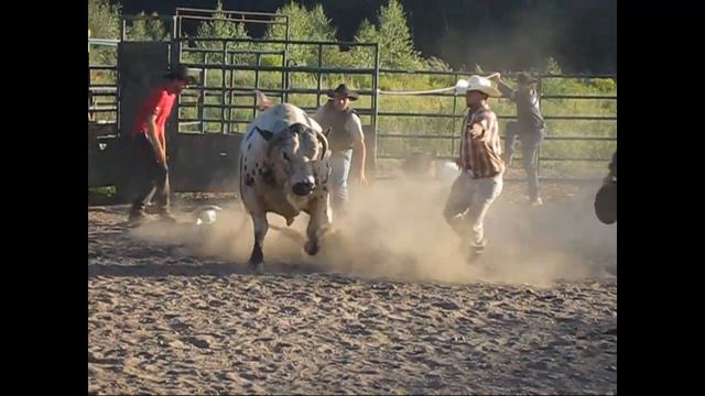 D Rod's bull rid'n dirty смотреть онлайн