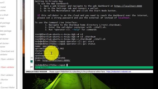 Cách chạy node Shardeum смотреть онлайн