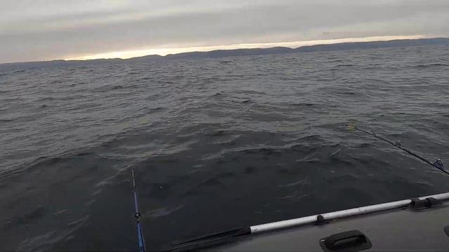 ТЕРИБЕРКА. УДАЧНОЕ ЗАКРЫТИЕ СЕЗОНА МОРСКОЙ РЫБАЛКИ. "CLOSING OF THE SEA FISHING SEASON." смотреть онлайн