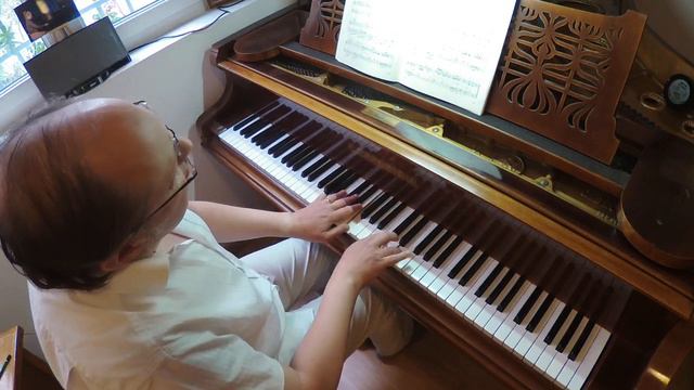 Edvard Grieg : "Élégie" sur piano à queue C. Bechstein (1902) par Dominique Arbey смотреть онлайн