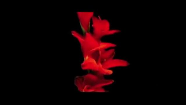 С Днем рождения Лариса!!! смотреть онлайн