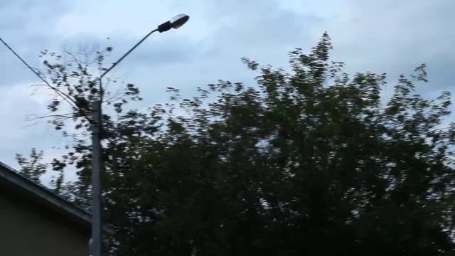 Вечерние Птицы куда то летят 24 июля 2014 г., 20:43:54 MVI 0055 смотреть онлайн