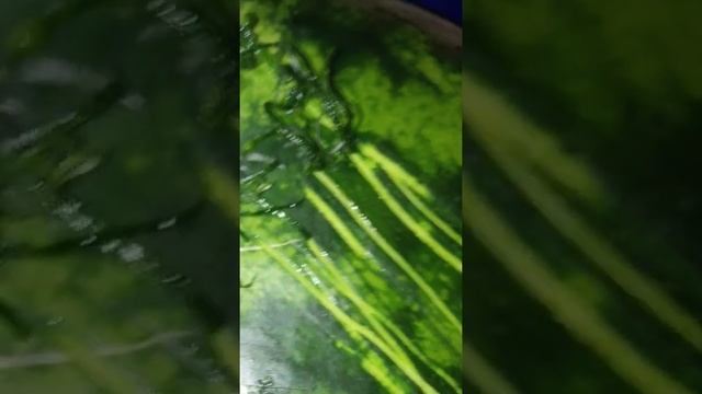 Пивная крышка полезная самоделка-Арбуз смотреть онлайн