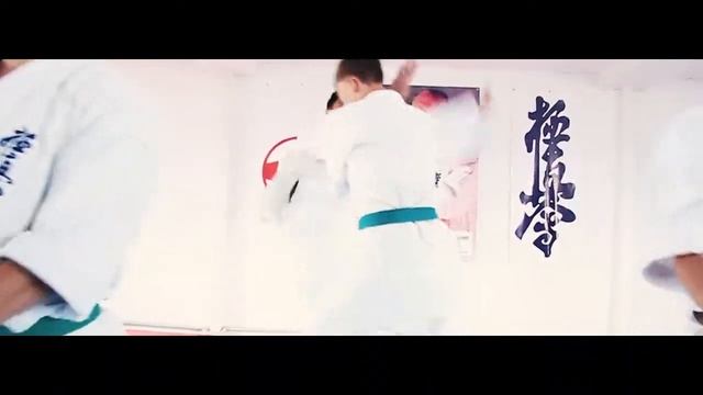 Karate 3v1