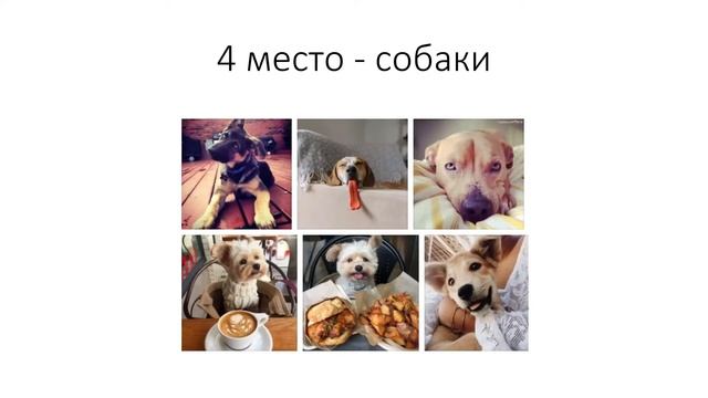 Какую выбрать тему для блога в Инстаграм? Самые популярные темы в Инстаграм 2018 смотреть онлайн