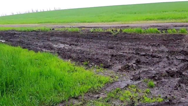 Рыбалка, река Кочеты, Красносельское. Обзор мест. смотреть онлайн