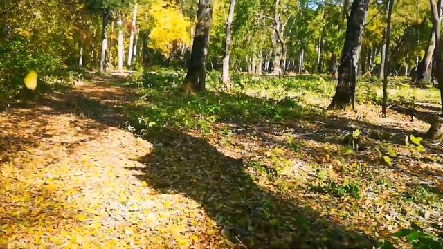 Ирбит. Парк 40 лет Комсомола. Ипподром. Стрелка Ирбит - Ница. смотреть онлайн