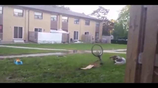 Fail Compilation #51. Epic Girls Fail Compilation. Pool Fails. Best Of The Last Month