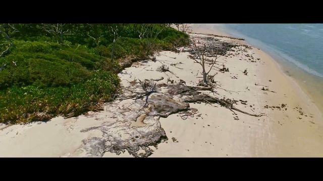 Alina Donica “Psalm 27“ (Russian version 2017) видеоклип HD смотреть онлайн