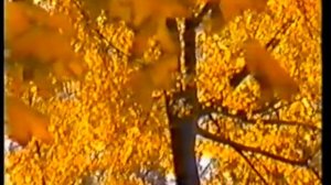 Жан Татлян, "Осенний свет"